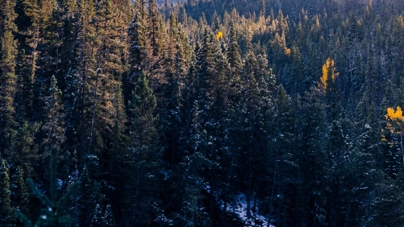 同安生活网网址