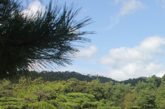 深粉象浅粉象哪个好喝