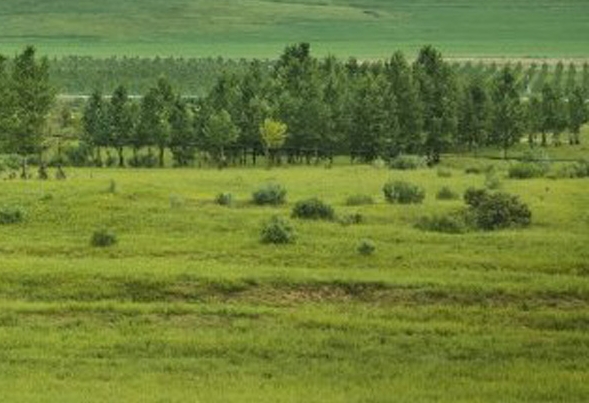 粉象生活分享怎么操作