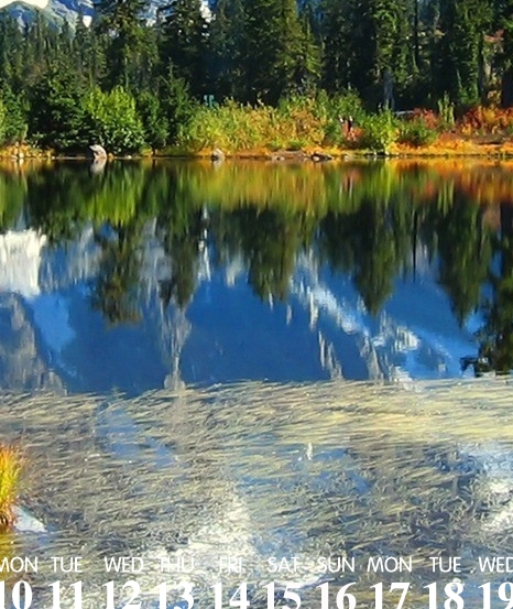 粉象生活怎么快速推广