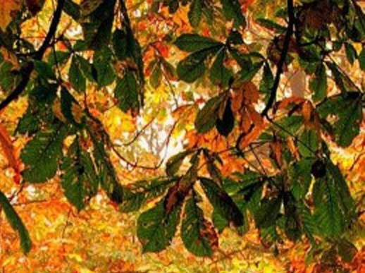 湖南高端粉象生活怎么赚钱