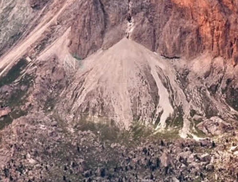 粉象生活是干嘛的