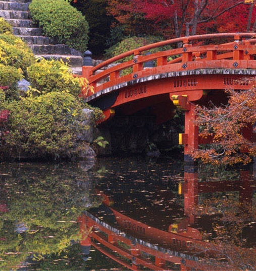 粉象生活怎么赚钱