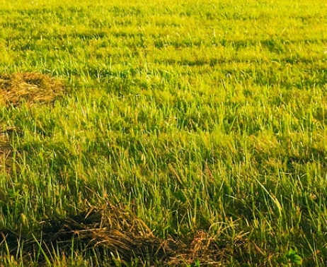 怎样评价粉象生活