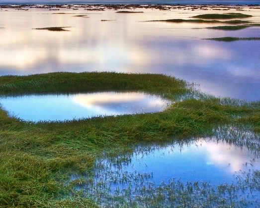 粉象生活上怎么找优惠券