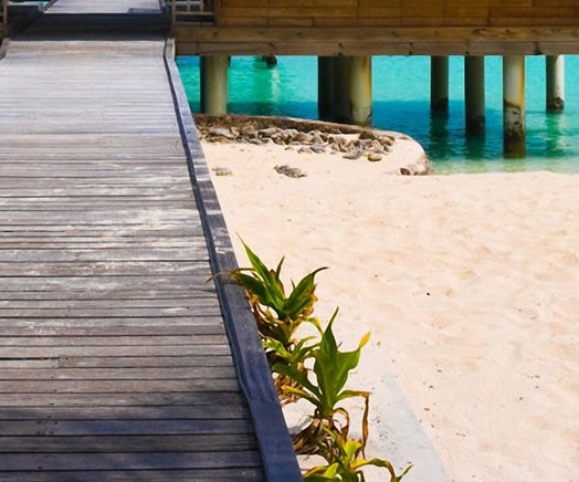 粉象生活板块设计