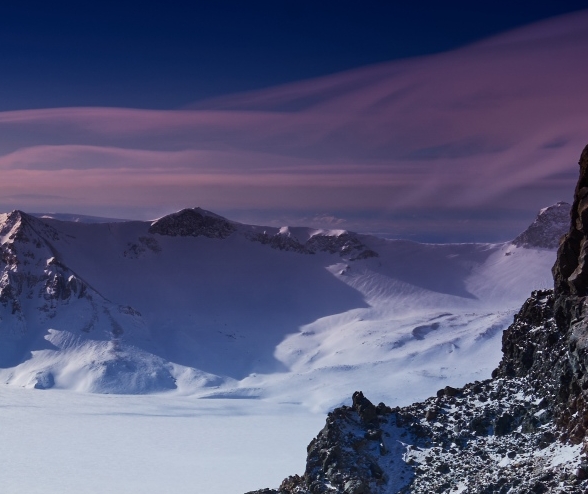 浙江粉象生活佣金
