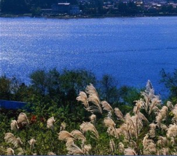 粉象生活乱发货不换货