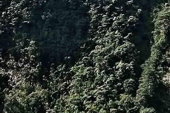 粉象生活怎么才能上新