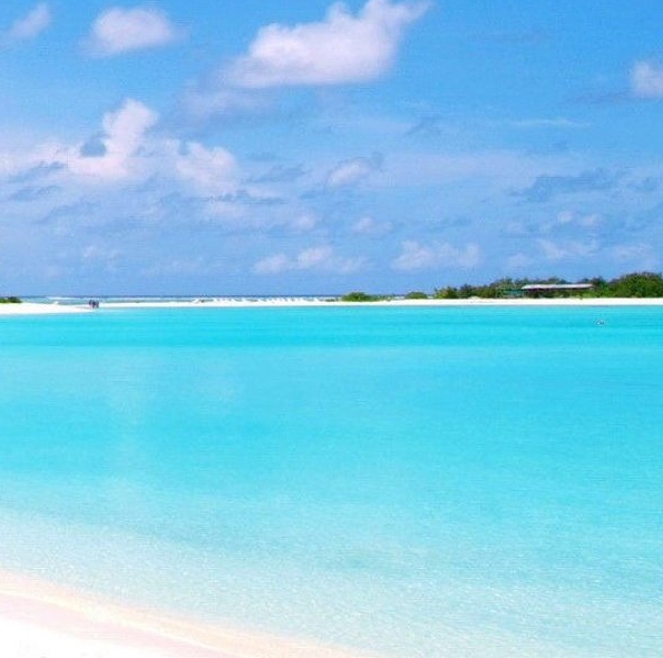 粉象生活官方发货怎么样