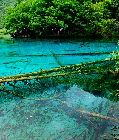 商家如何入驻粉象