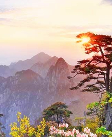 湖北运营粉象生活app