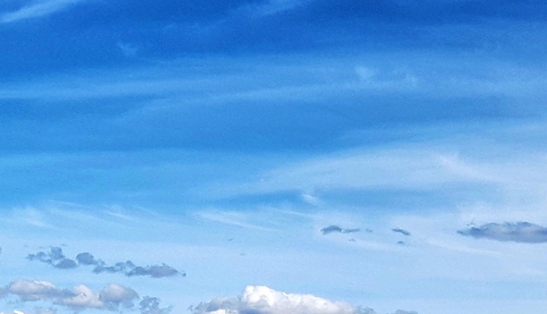 粉象生活是骗子