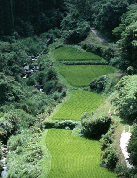 粉象生活靠谱不