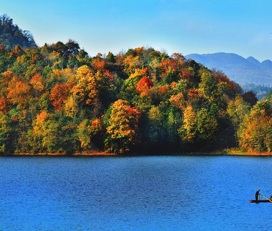 粉象生活下载app