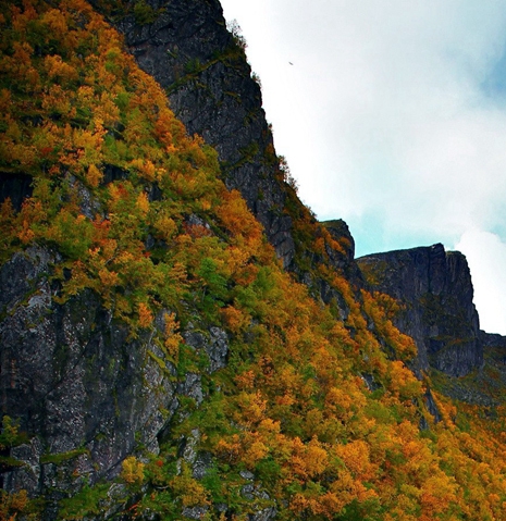 粉象生活手机号注销了怎么办