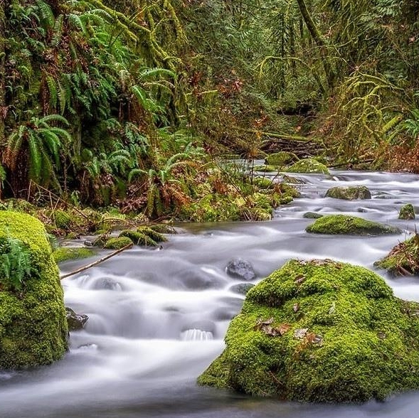 i慧生活加油打折