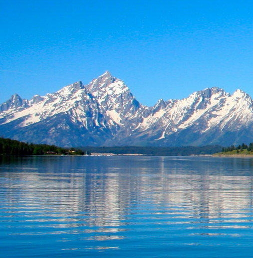 粉象生活怎么赚钱