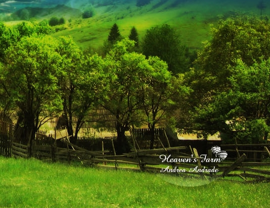 粉象生活推广技巧