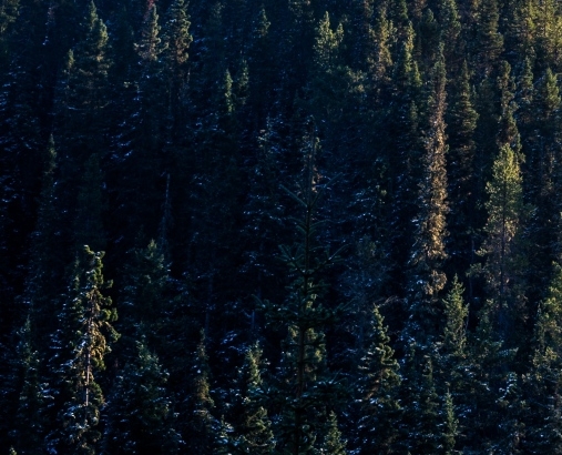粉象生活开店铺的条件