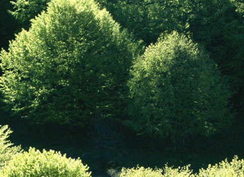 粉象生活是干嘛的