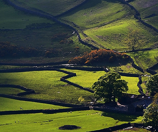粉象生活是什么?