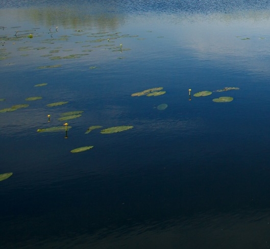 生活物料有哪些
