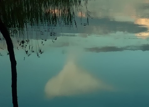 粉象生活宝妈如何挣钱