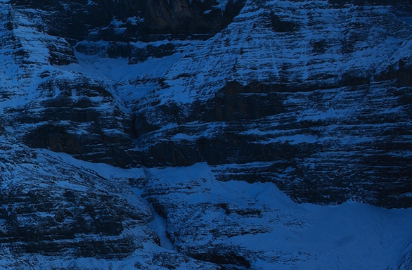 粉象生活招聘教师