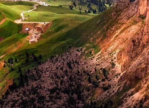 粉象生活代理注册邀请码