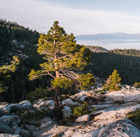 粉象生活下载app