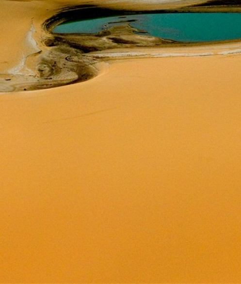 粉象生活APP能赚钱吗