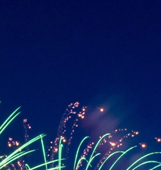 象印红胖子和虎牌小狮子