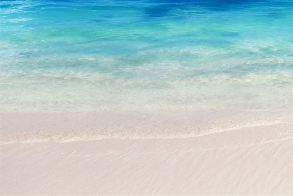 粉象生活邀请码