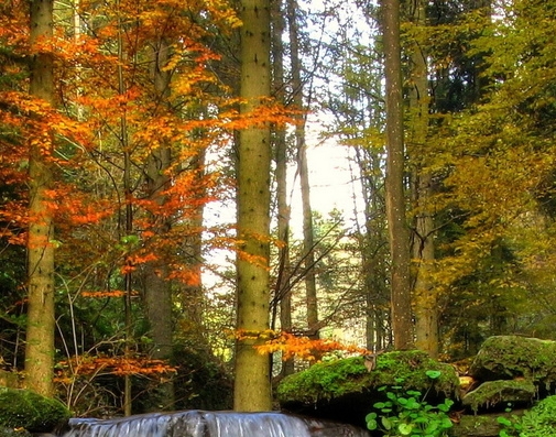 福建一站式粉象生活官网