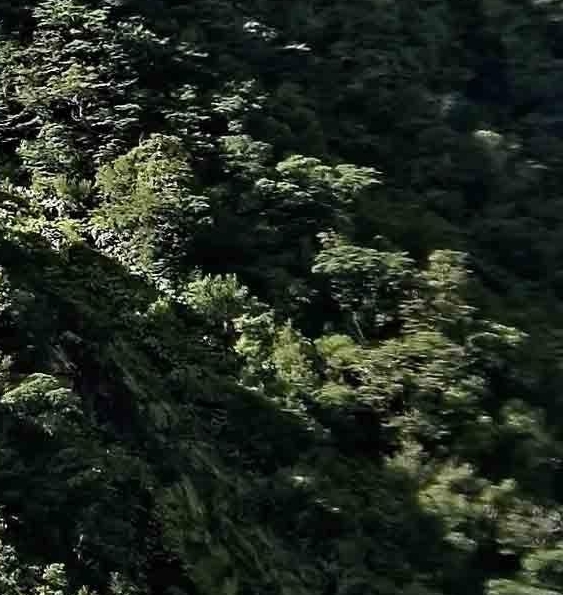 粉象生活我的邀请人在哪里找