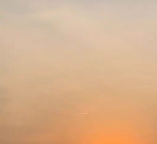 粉象生活app注册流程