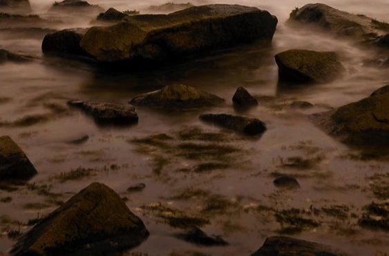 粉象生活现在注册用户多少