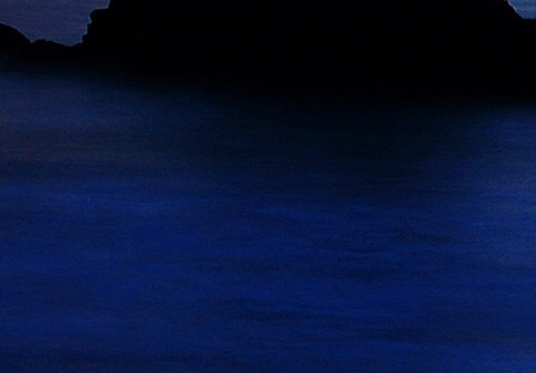 万果园家园APP下载