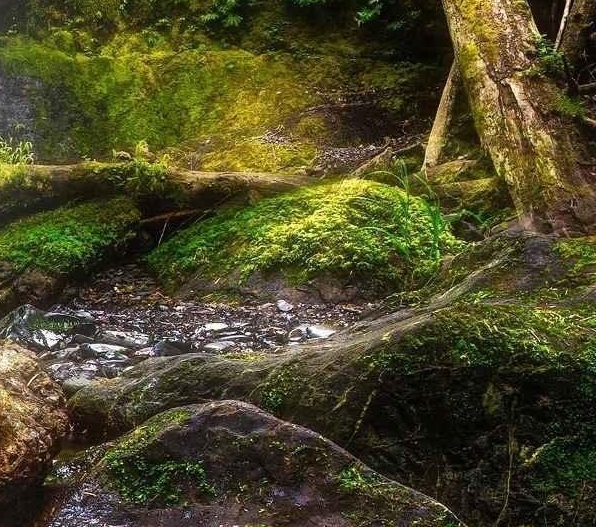 粉象生活是真的吗?真的能赚到钱吗