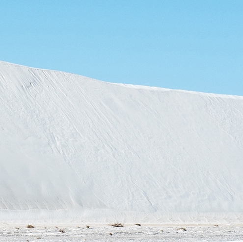 粉象生活id怎么填