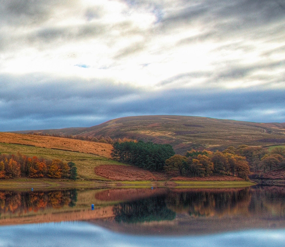 广东运营粉象生活靠谱么