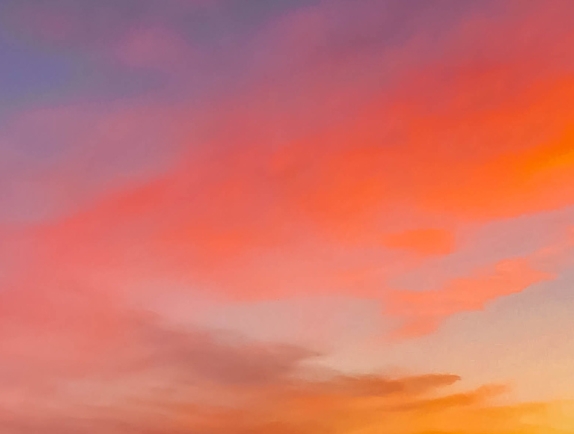 东营粉象生活佣金