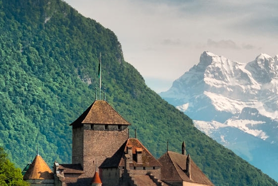 粉象生活是什么?