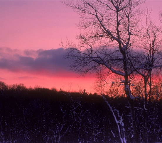 粉象生活可以发现新用户吗