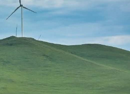 粉象生活怎么填写别人邀请码