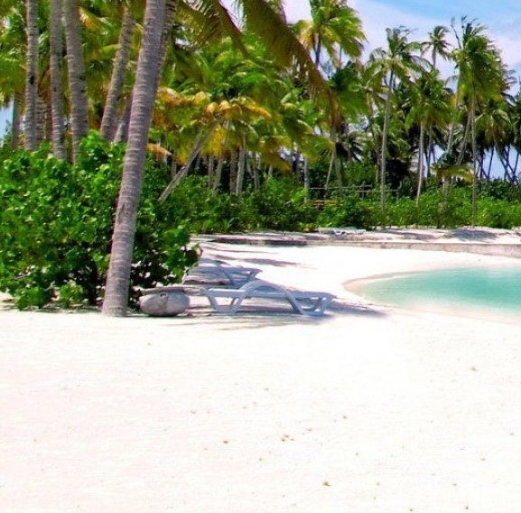 粉象生活公益记录