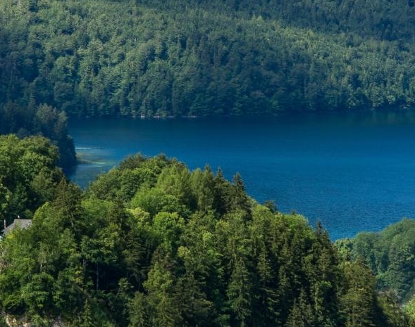 安徽粉象生活赚钱么