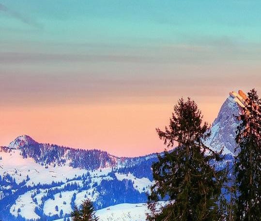 粉象生活怎样锁佣