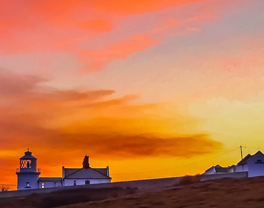 粉象生活如何获得佣金